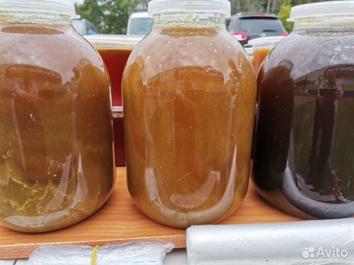 Мёд алтайский домашний