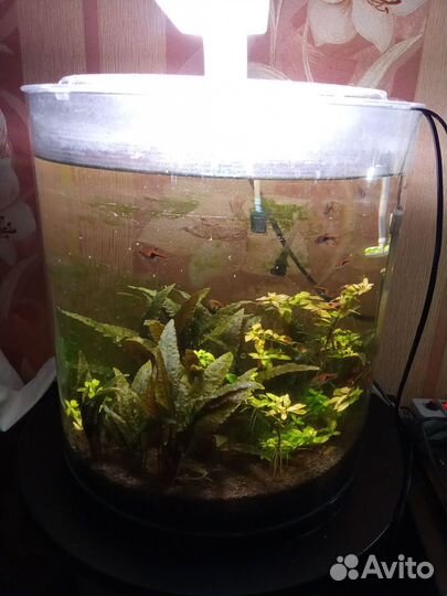 Аквариум с тумбой
