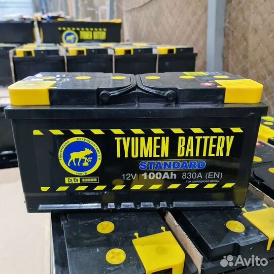 Аккумуляторы Тюмень 100а