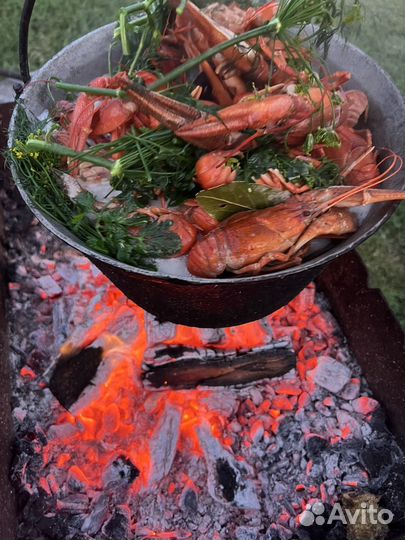 Живые раки Ст. Филоновская