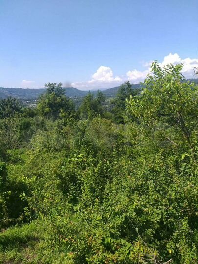 Участок 30 сот. (ИЖС)