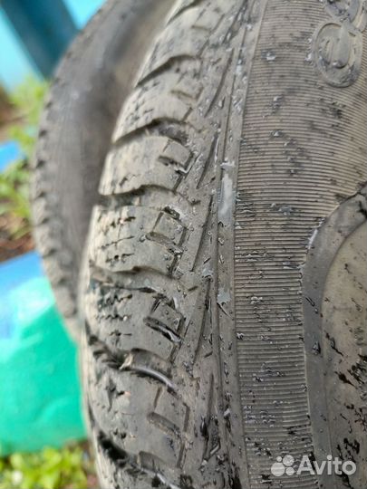 Sava Eskimo HP 215/55 R17
