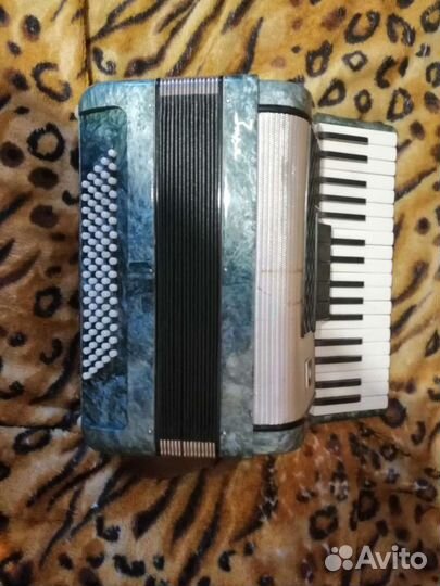 Аккордеон заря