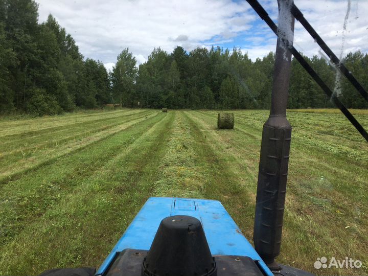 Сено,сенах.Разотравие,посевное