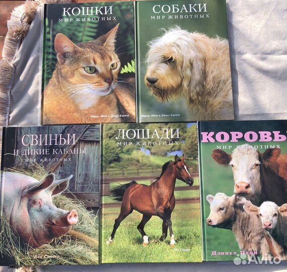 Мир животных Белфакс