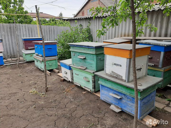 Улики для пчёл