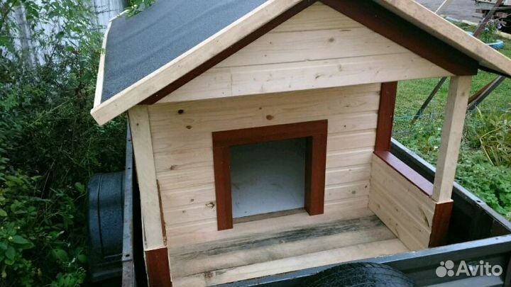 Брудер для цыплят