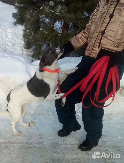 Асеньке очень нужен дом