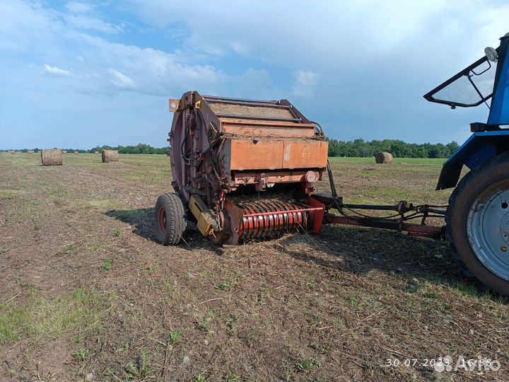 Продам сено в рулонах