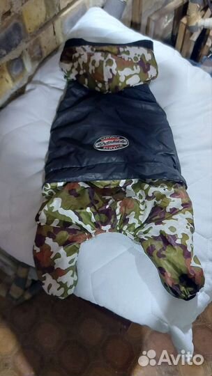 Одежда для животных