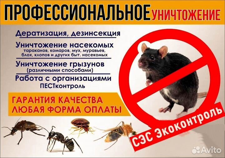 Обработка от клопов и тараканов Кротов Крыс Мышей