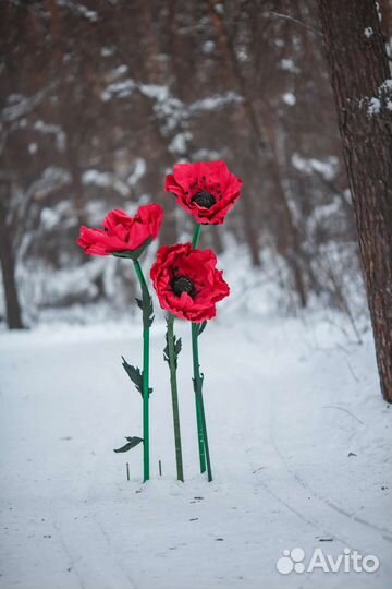 Большие маки, ростовые цветы, фотозона цветочная