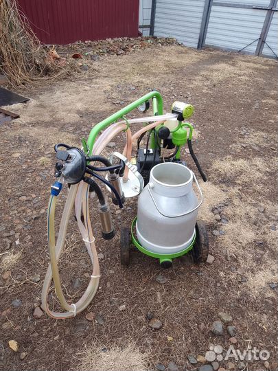 Доильный аппарат для коров