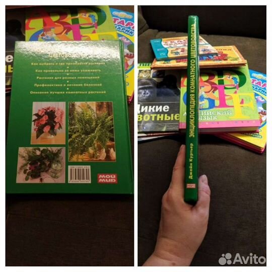 Энциклопедия комнатного цветоводства