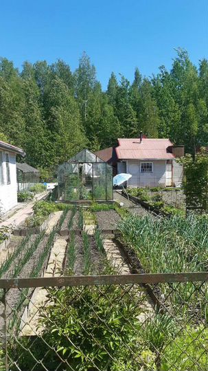 Дом 62 м² на участке 7,8 сот.