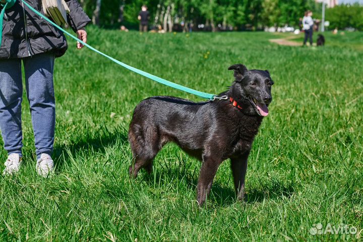 Гита ждет свою семью в приюте