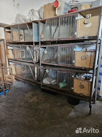 Клетки для кроликов бу