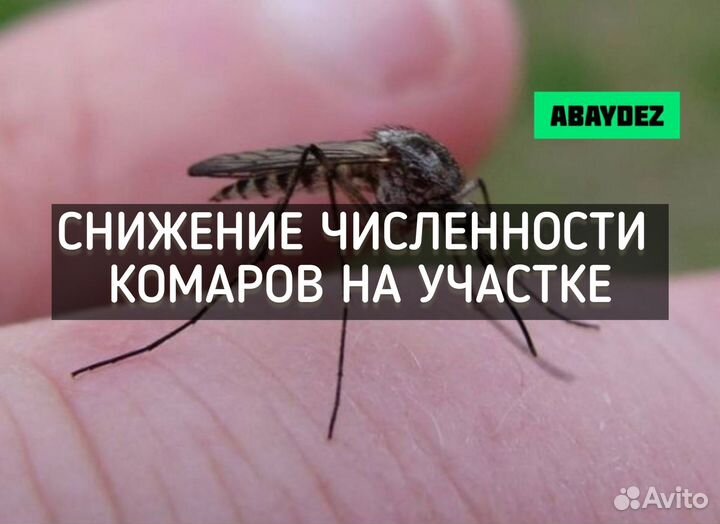 Обработка участка от клещей, комаров, короеда, ос