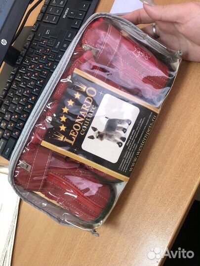 Обувь для собак