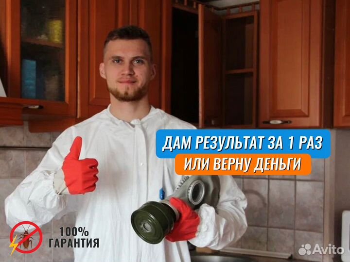 Уничтожение клопов, тараканов, блох / Дезинфекция