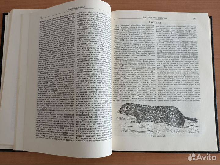 Брэм Жизнь животных 1ый том