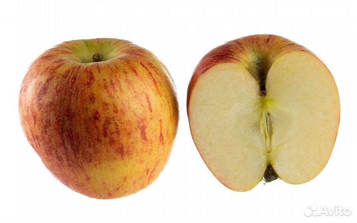 Яблоки домашние