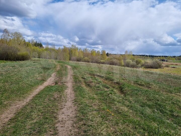 Участок 69 сот. (СНТ, ДНП)