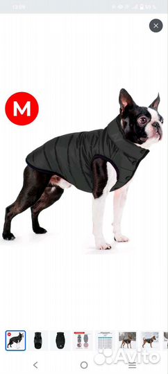 Куртка демисезонная для собак