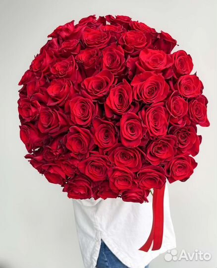 Роза букет 15/25/51/101
