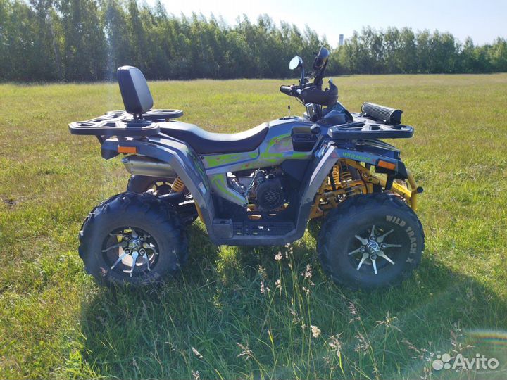 Motoland wild track 200