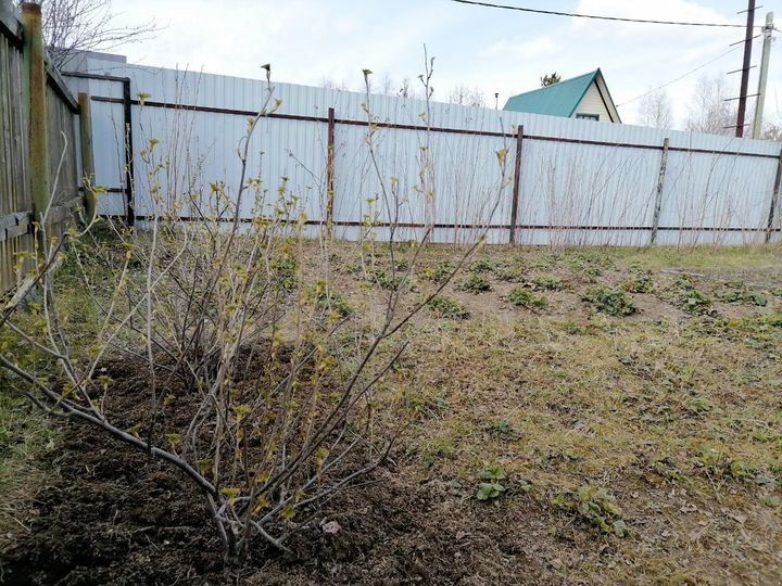 Участок 4,5 сот. (СНТ, ДНП)