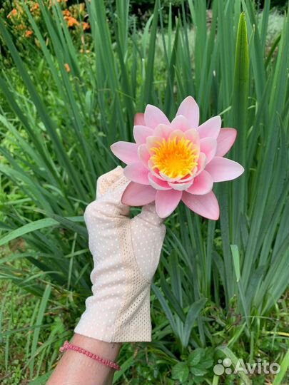 Японские солнцезащитные перчатки, слоновая кость