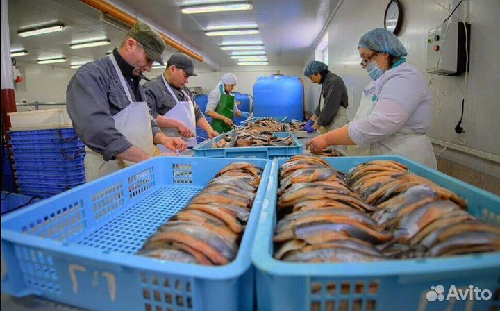 Разнорабочий (вахтовый метод работы)