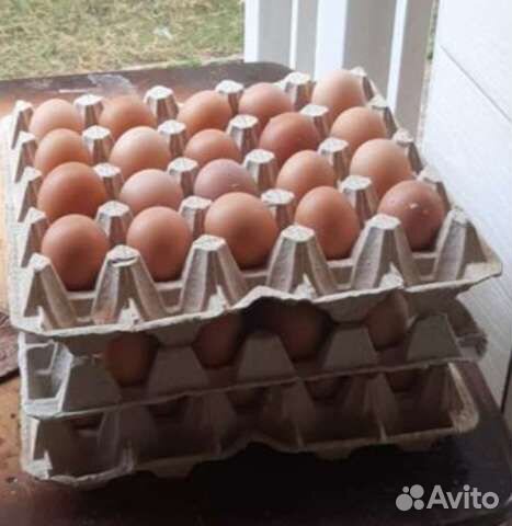 Яйцо куриное деревенское, домашнее