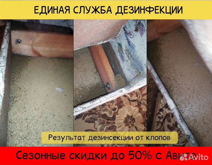 Дезинфекция