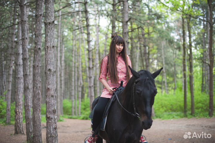 Конные прогулки по сосновому лесу