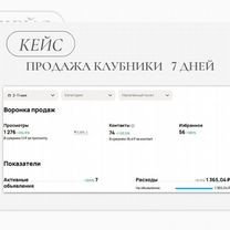 Авитолог / Услуги авитолога, Нальчик