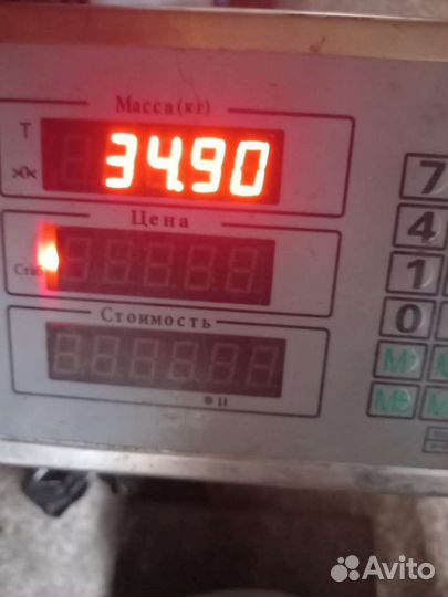 Семена люцерна