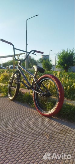 BMX grasshopper