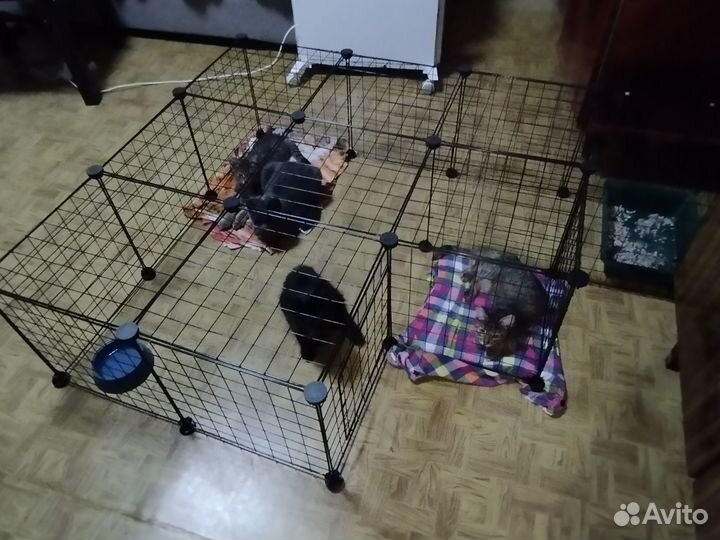 Вольер для животных