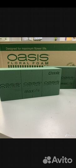 Флористический оазис