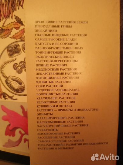 Набор открыток 