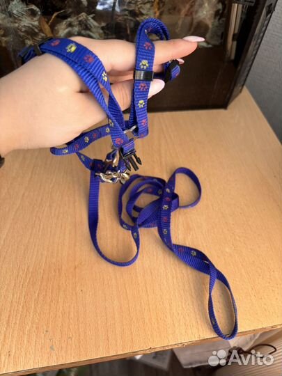 Шлейка для кошки