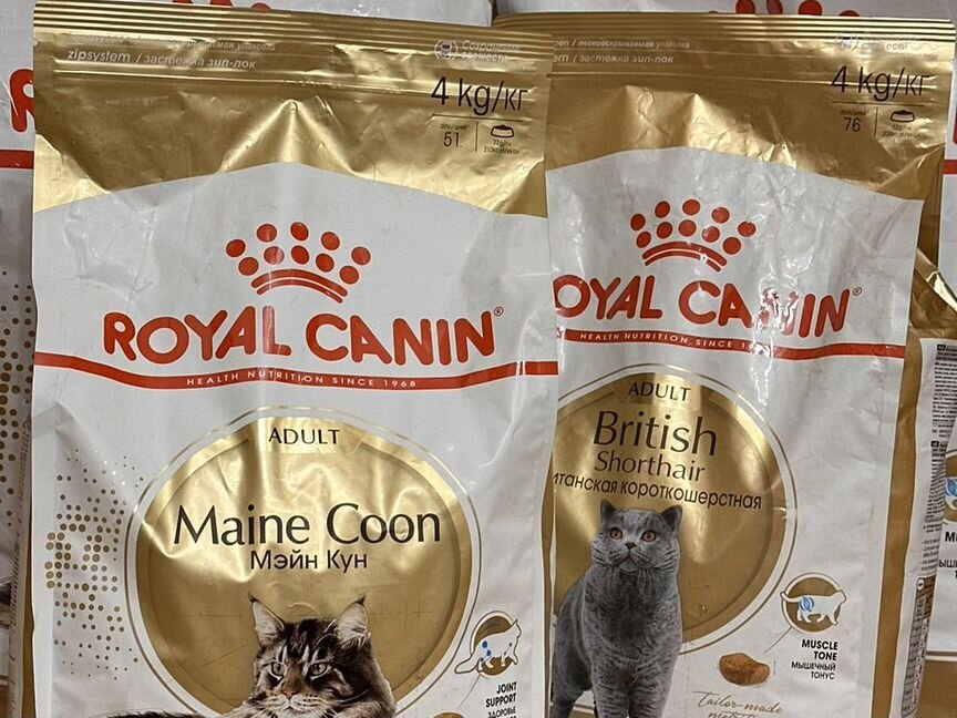 Корм для кошек royal canin