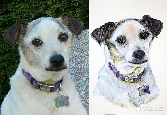 Портрет собаки на заказ по фото акварелью