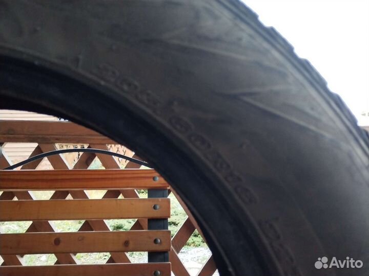 Nexen Winguard WinSpike WH62 205/60 R16 92