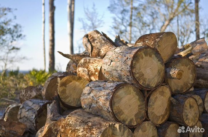 Дрова ольховые колотые