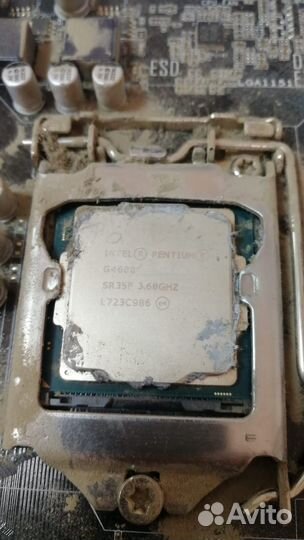 Процессор intel pentium g4600 LGA1151