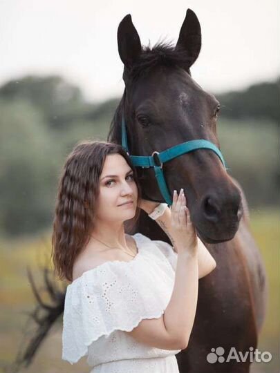 Катание на лошадях, занятия, фотосессии, выезды