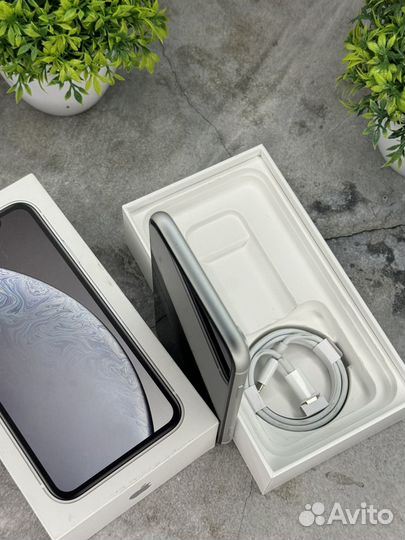 iPhone Xr, 128 ГБ